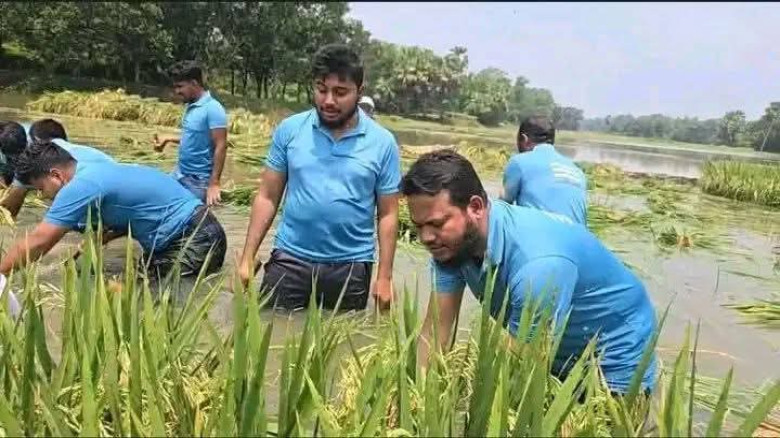গাজীপুরে কৃষকের প্লাবিত ফসলি জমির ধান কেটে দিলেন এমপি সালাহউদ্দিন আইয়ুবী